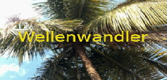 Wellenwandler1